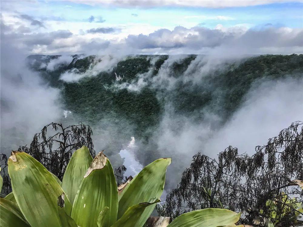 沪江开心词场